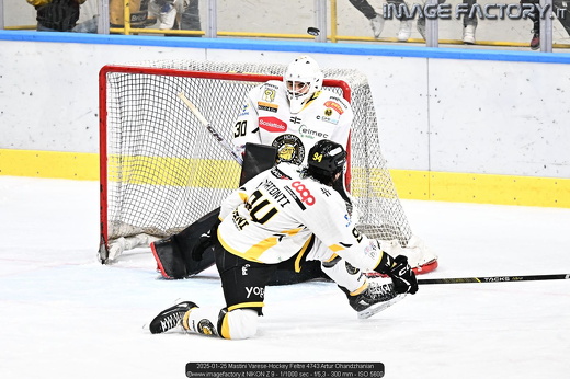 2025-01-25 Mastini Varese-Hockey Feltre 4743 Artur Ohandzhanian